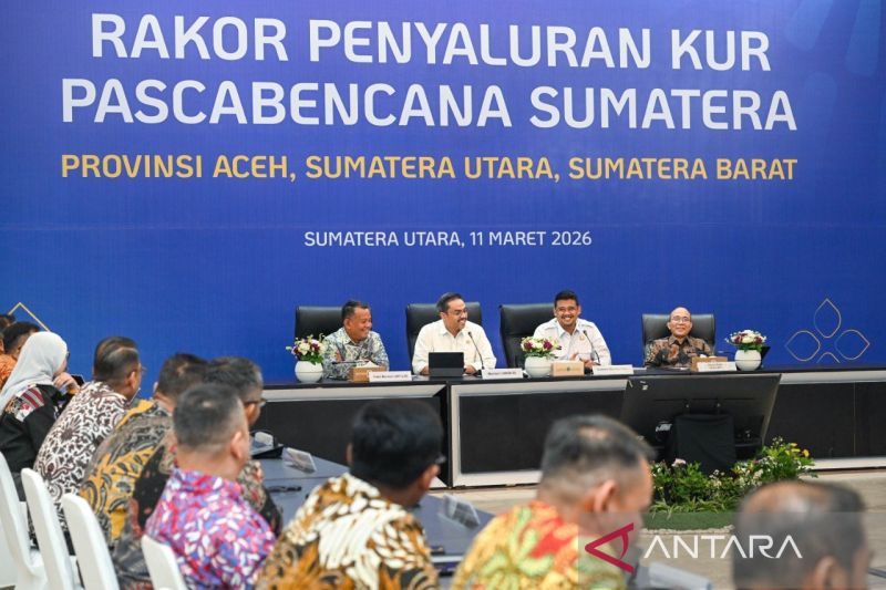 Menteri UMKM Umumkan Program Pemulihan Usaha di Tiga Provinsi