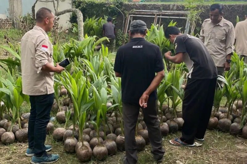 Pemerintah Siap Sebarkan Varietas Unggul untuk Perkebunan