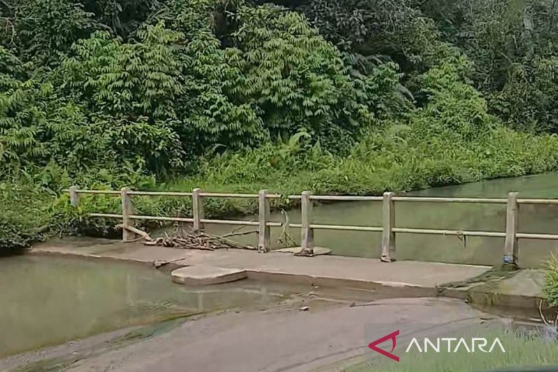 Sawah 600 Ha di Nagan Raya Alami Kekeringan Akibat Irigasi Dangkal