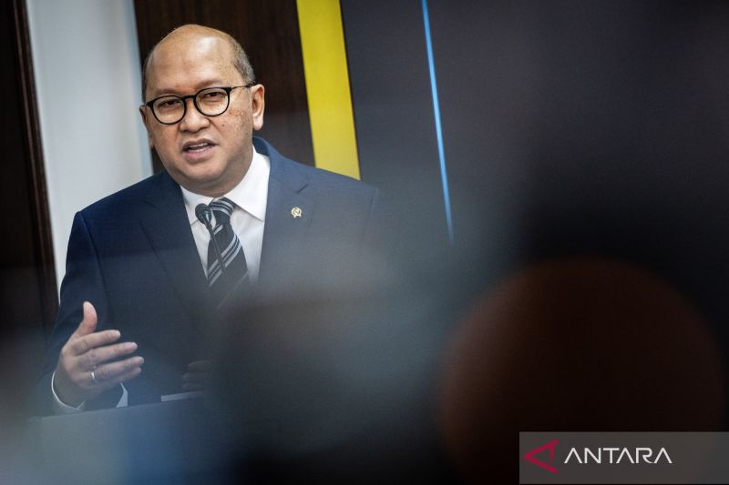 Danantara Terapkan Strategi Investasi Jangka Panjang